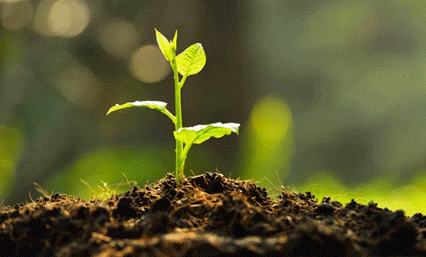 Hatay için voleybolcular da kampanyaya katıldı