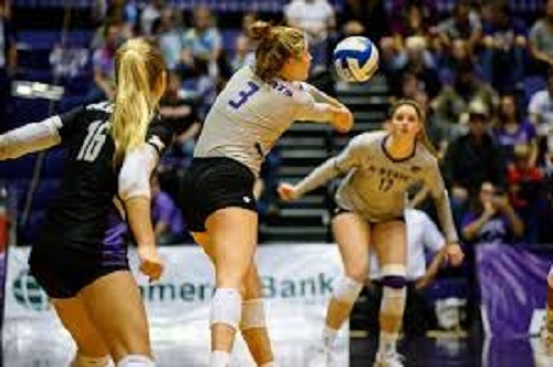 Görme Eğitim Programı