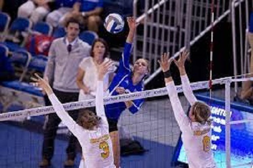 Harika Bir Pasör Çaprazının Özellikleri