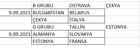 EuroVolley'de son 16 turu eşleşmelerinin dördü belli oldu