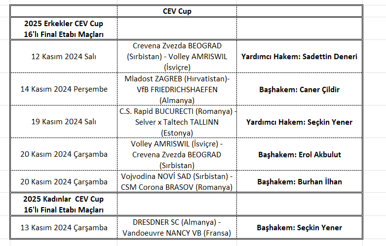 CEV'den 17 Uluslararası Voleybol Hakemimize 21 maçta görev