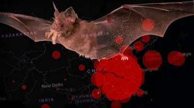 Dünya Sağlık Örgütü'nden ürküten resmi açıklama