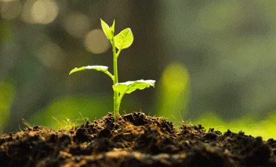 Hatay için voleybolcular da kampanyaya katıldı