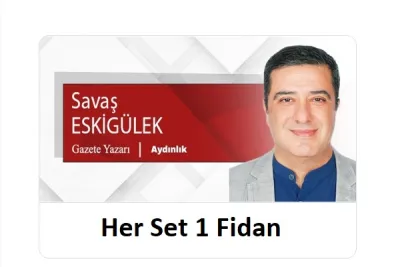 Her Set 1 Fidan